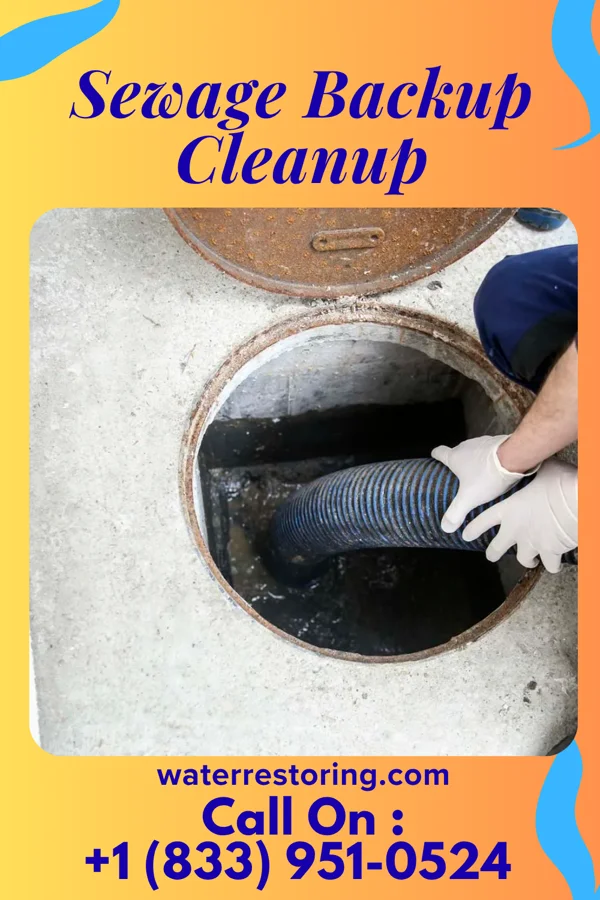 Sewage Backup Cleanup in Achille, OK