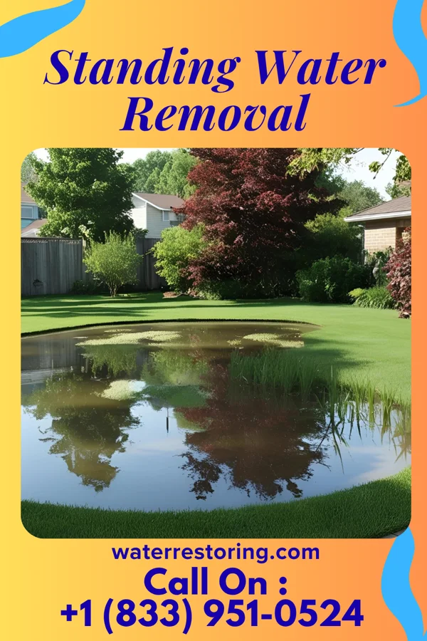 Standing Water Removal in Achille, OK